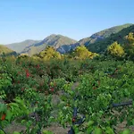 Camin'hotes Drome Soleil Couchant * Roche-Saint-Secret-Beconne